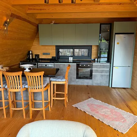 Begonvil Gümüşlük