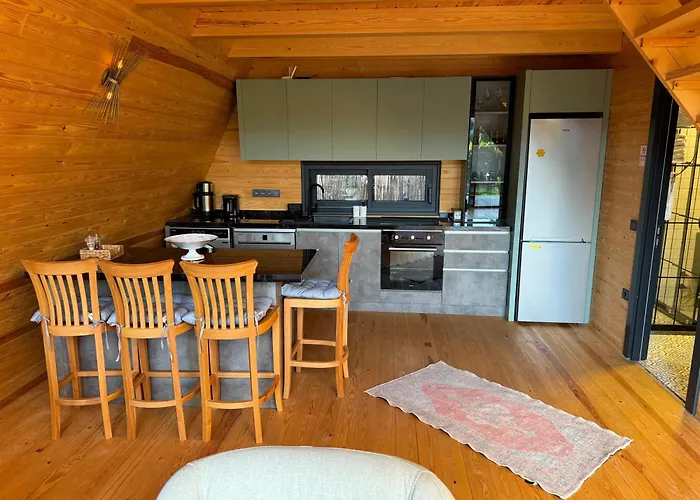 Begonvil Gümüşlük